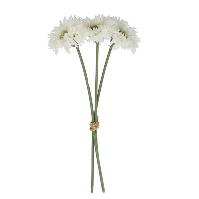 White Gerbera Pick, Bunch Of Three