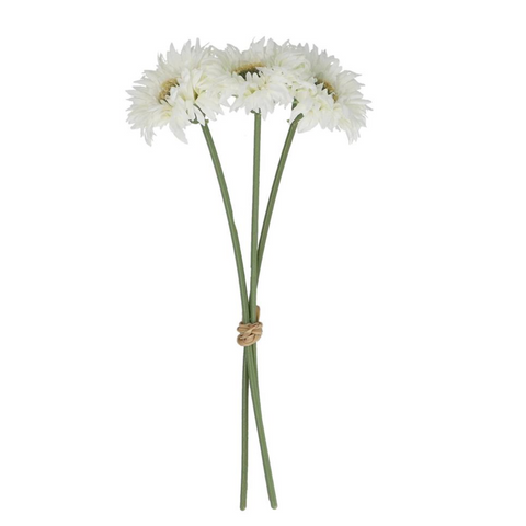 White Gerbera Pick, Bunch Of Three