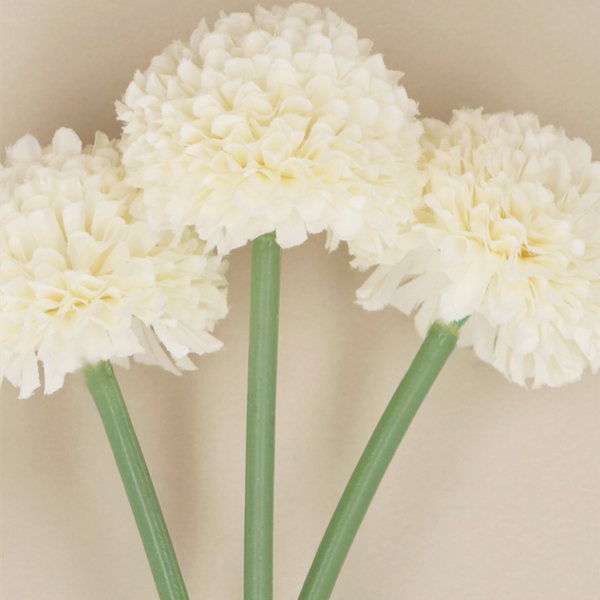 White Mini Ball Chrysanthemum 