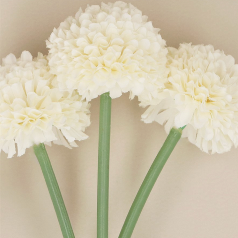 files/White_Mini_Ball_Chrysanthemum.png
