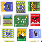 Educational cards with animal illustrations and measurements on a white background