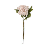 Artificial Peony, Evening Dew