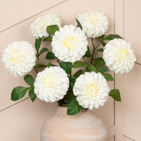 files/dahlia_white.png
