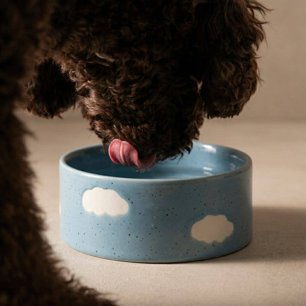 Dog drinking from a blue ceramic bowl with cloud designs on a beige surface.