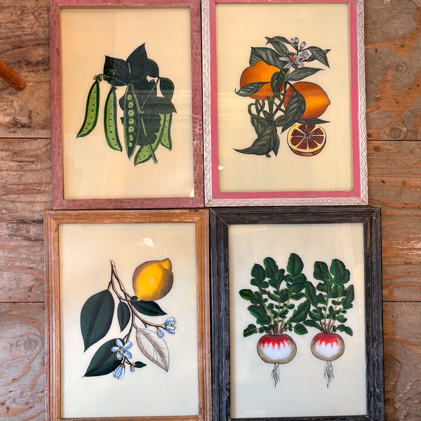 fruit glass frames vintage