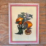 fruit glass frames vintage orange