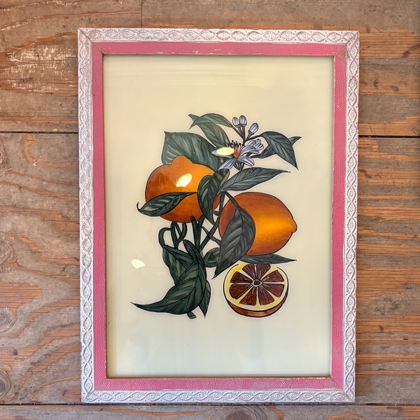 fruit glass frames vintage orange