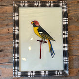 A framed stained glass art piece featuring a colorful bird with a red head, yellow chest, black wings, and blue tail, mounted on a rustic wooden plank background.