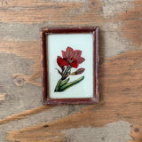 Vintage Glass Framed Paintings Plants - Extra Small