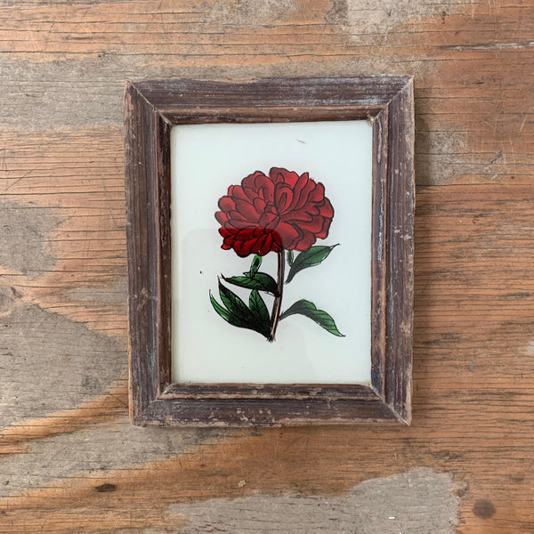Vintage Glass Framed Paintings Plants - Extra Small
