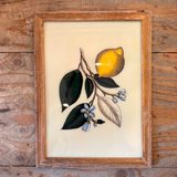 A screenshot of a desktop showing a framed botanical art print of a lemon and blue flowers on a wooden wall, alongside other framed prints and a macOS desktop background.