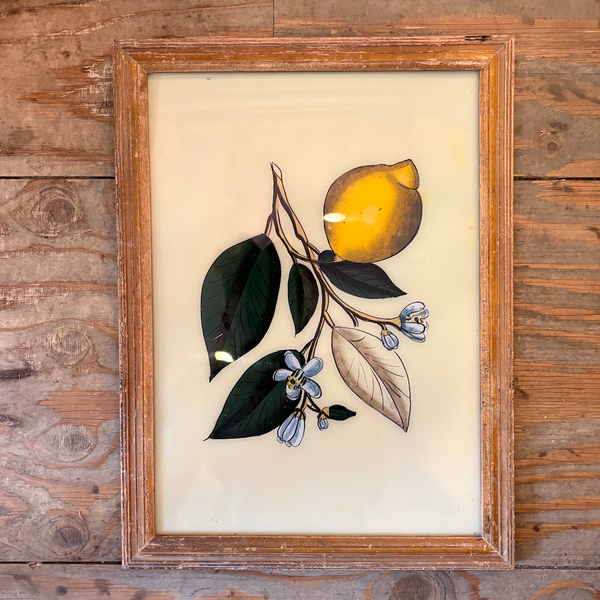 A screenshot of a desktop showing a framed botanical art print of a lemon and blue flowers on a wooden wall, alongside other framed prints and a macOS desktop background.