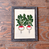 A framed botanical art print depicting two radishes with green leaves, displayed on a rustic wooden tabletop. The desktop background shows a pink gradient and a grid of screenshots.