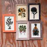 Vintage Glass Framed Painting Plants - Medium
