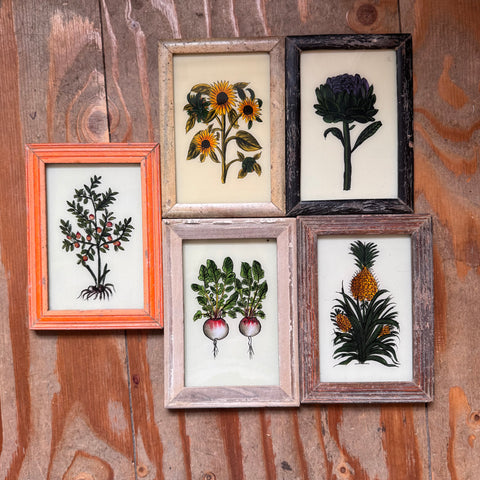 files/vintage_glass_framed_paitning_plants.jpg