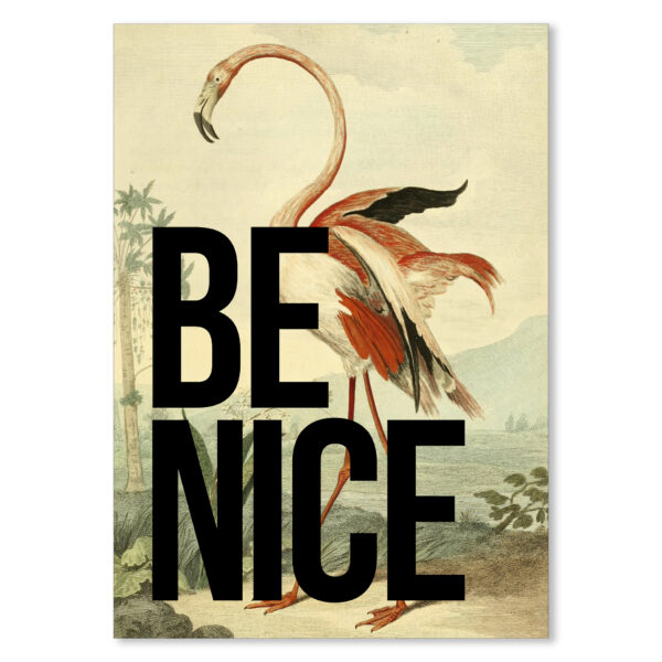 Be Nice Framed Print