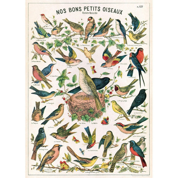 Nos Bons Petits Oiseaux - Bird Poster Print