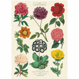 British Flower Garden Poster Print