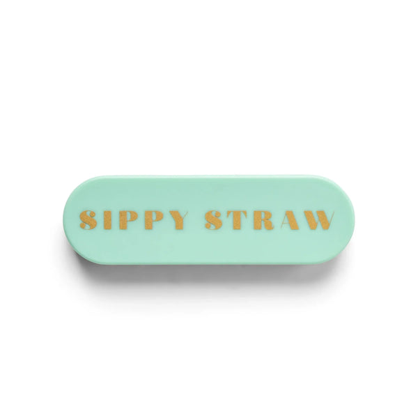 Portable Straw - Mint - Sippy Straw