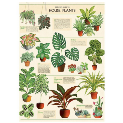 House Plants Poster Print