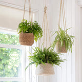 Jute Hanging Plant Pot