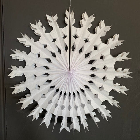 Paper Snowflake - Feather