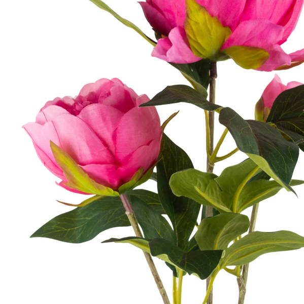 Peony Spray - Bright Pink