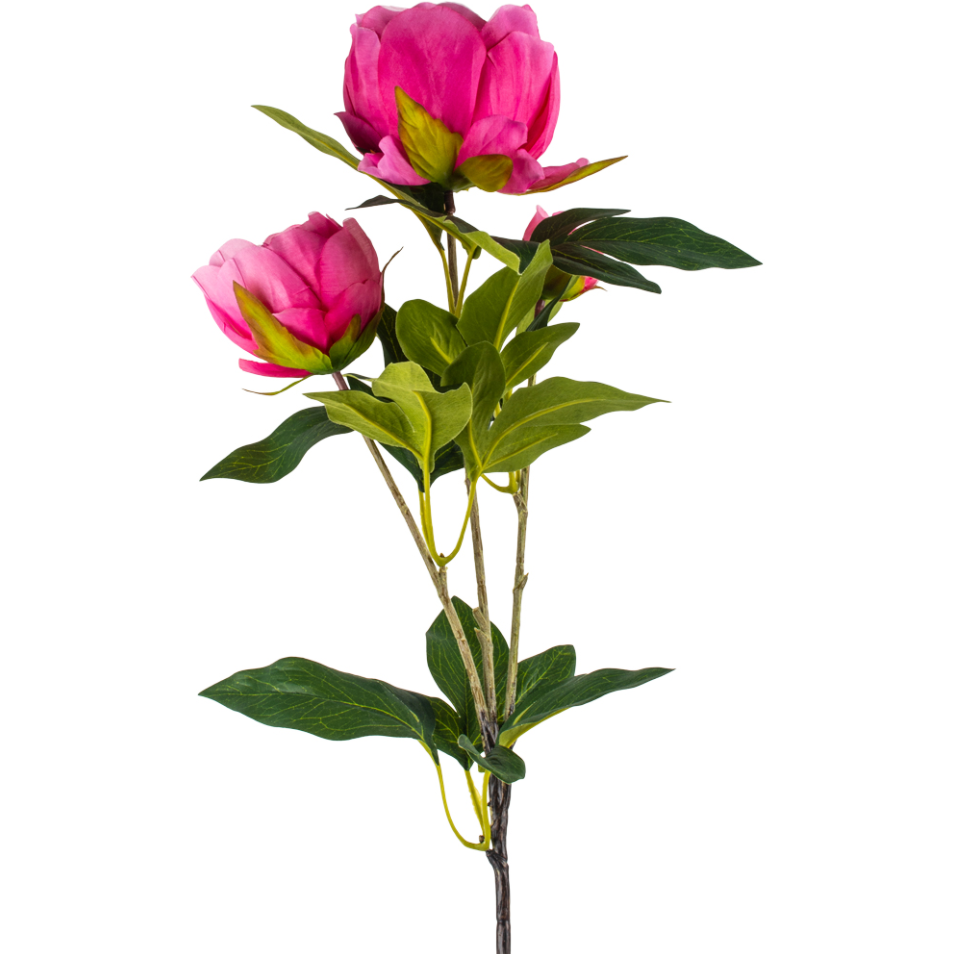 Peony Spray - Bright Pink