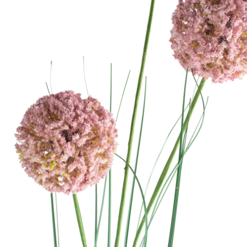 Allium Spray - Light Pink