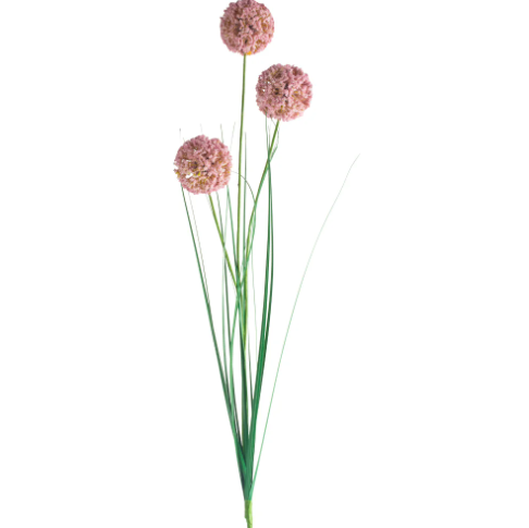 Allium Spray - Light Pink
