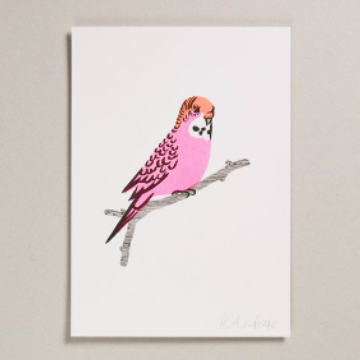 Pink Budgie Risograph Framed Print