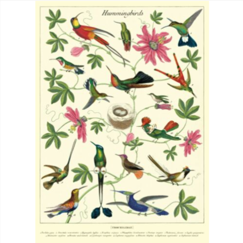 Hummingbirds Poster Print