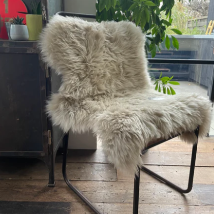 Sheepskin Rug - Oyster
