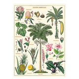 Tropical Plants Poster Print