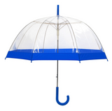 Clear Umbrella - Blue Handle