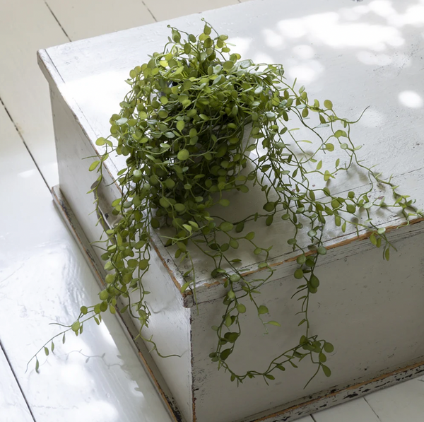 String of Nickels in pot