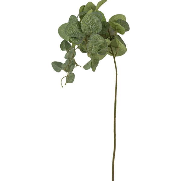 Eucalyptus Stem - Large Leaf