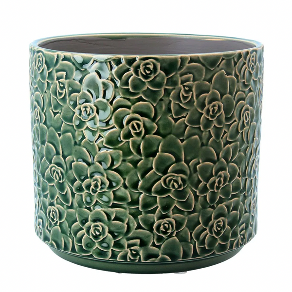 Green Succulents Ceramic Pot