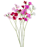 Sweet Pea Mixed Bouquet