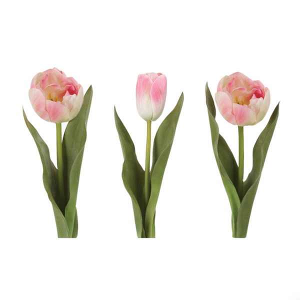 Tulip Mix - Light Pink