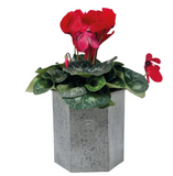 Kew Zinc Hexagonal Planter