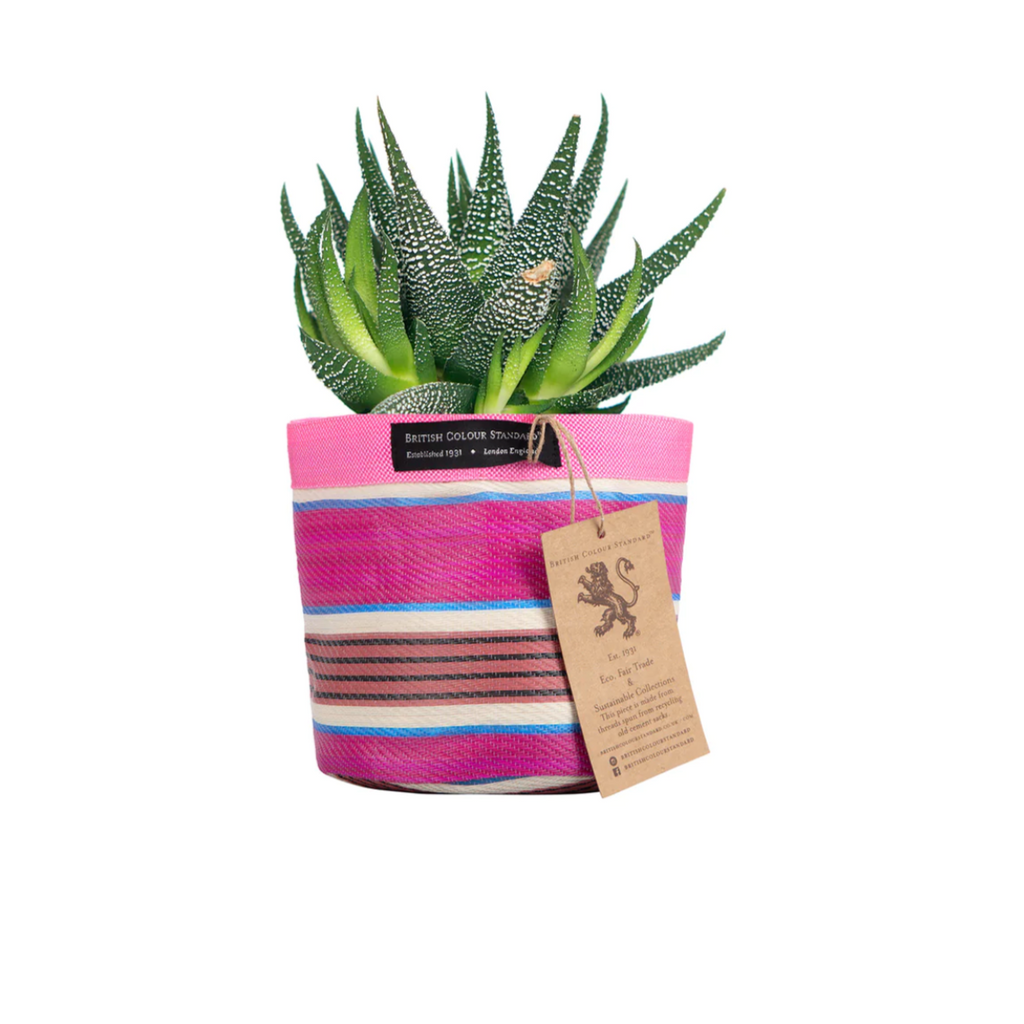 Plant outlet pot covers
