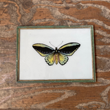 Vintage Glass Butterfly Painting - Large